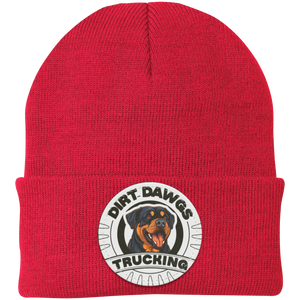 Dirt Dawgs Knit Cap - Patch