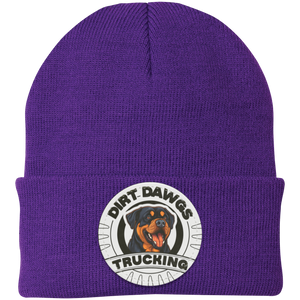 Dirt Dawgs Knit Cap - Patch