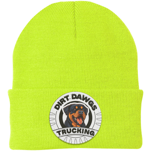 Dirt Dawgs Knit Cap - Patch