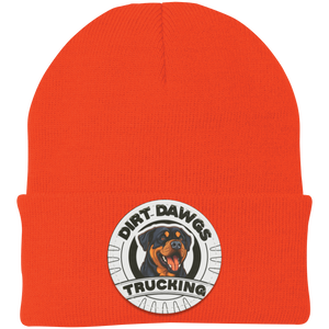 Dirt Dawgs Knit Cap - Patch