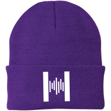 Load image into Gallery viewer, Hammond H Knit Cap