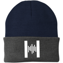 Load image into Gallery viewer, Hammond H Knit Cap